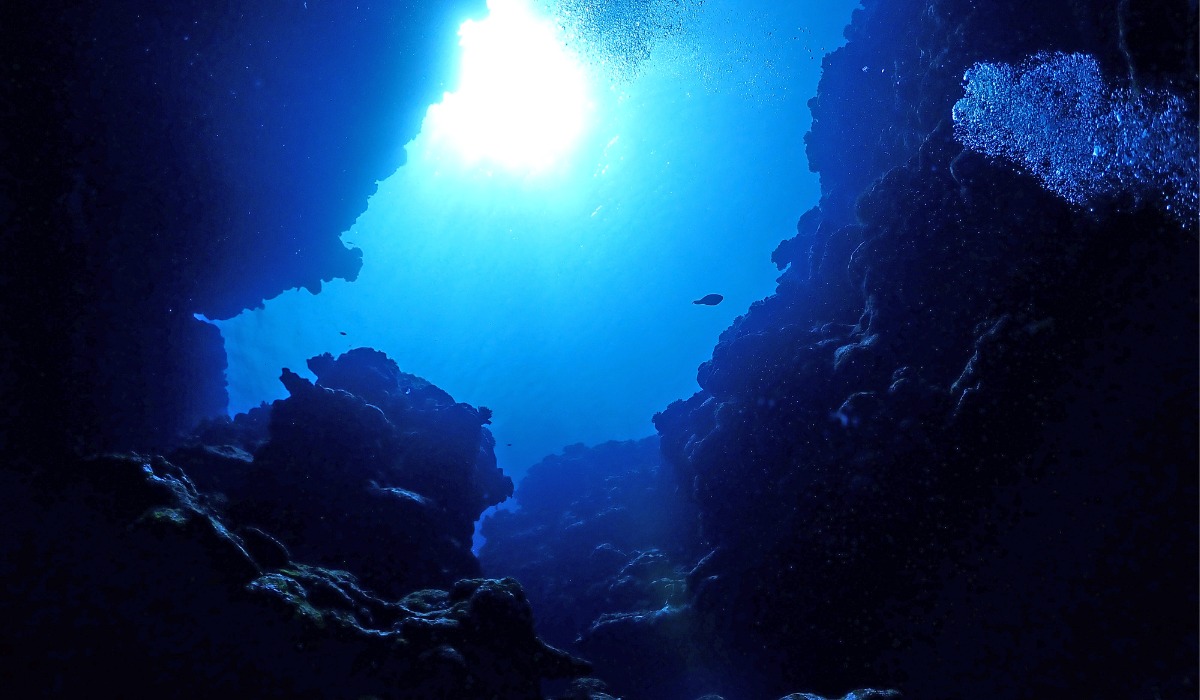 La grieta es de casi mil kilómetros de largo en el fondo de lecho marino.