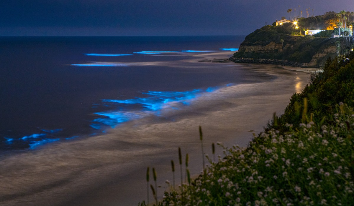Las costas de San Diego, California, iluminadas por algas bioluminiscentes.