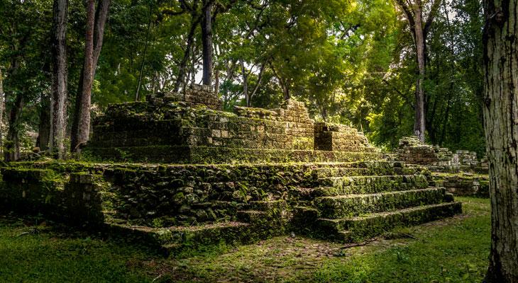 Una enorme red de canales y cultivos mayas oculta bajo la selva-0