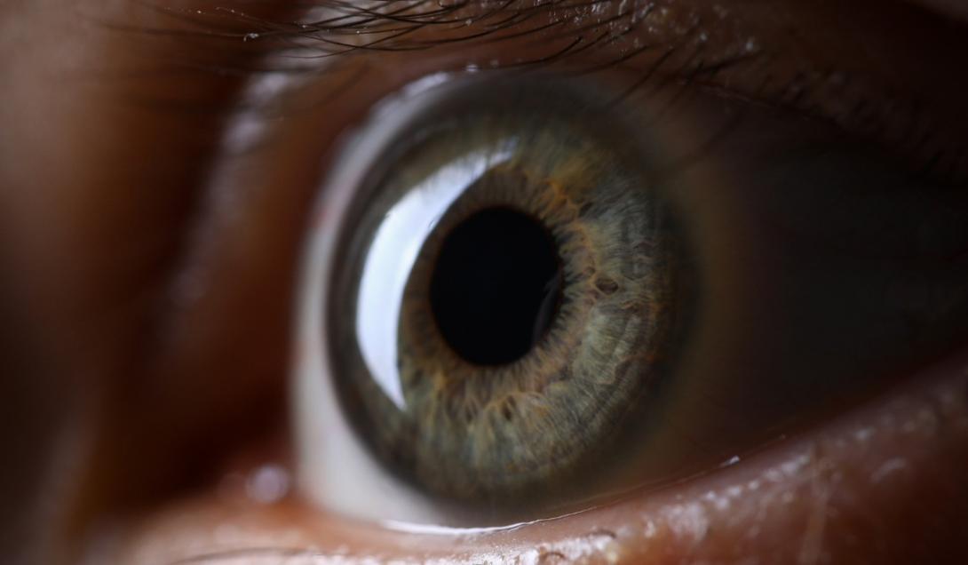 El tamaño de las pupilas está relacionado con la inteligencia, asegura un estudio-0