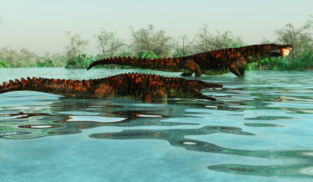 Descubren huellas prehistóricas de cocodrilos gigantes en Canadá-0