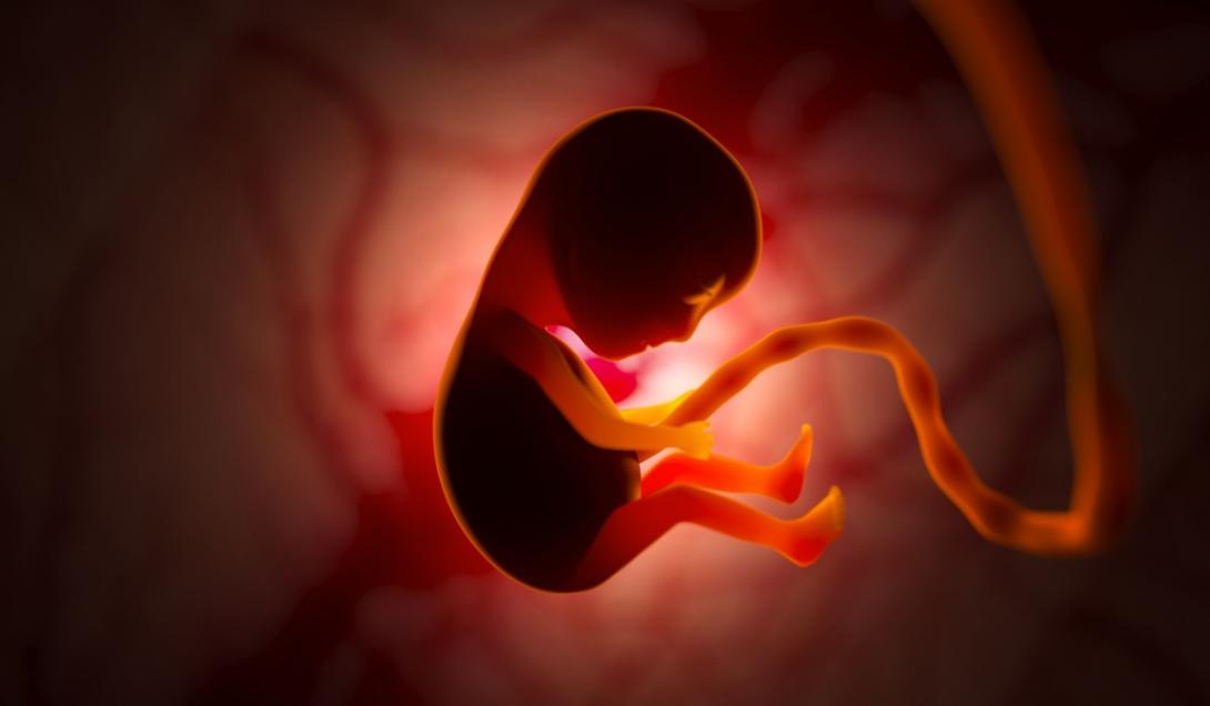Latinoamérica: logran el primer embarazo con un embrión elegido por Inteligencia Artificial-0