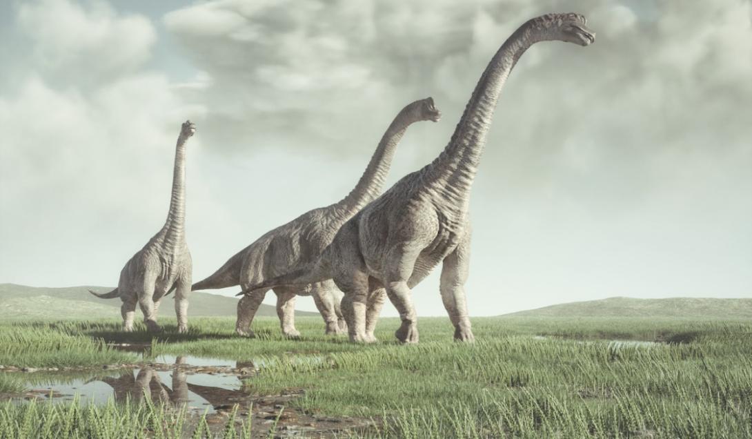Descubren huellas de "patinadas" de dinosaurio de 130 millones de años-0